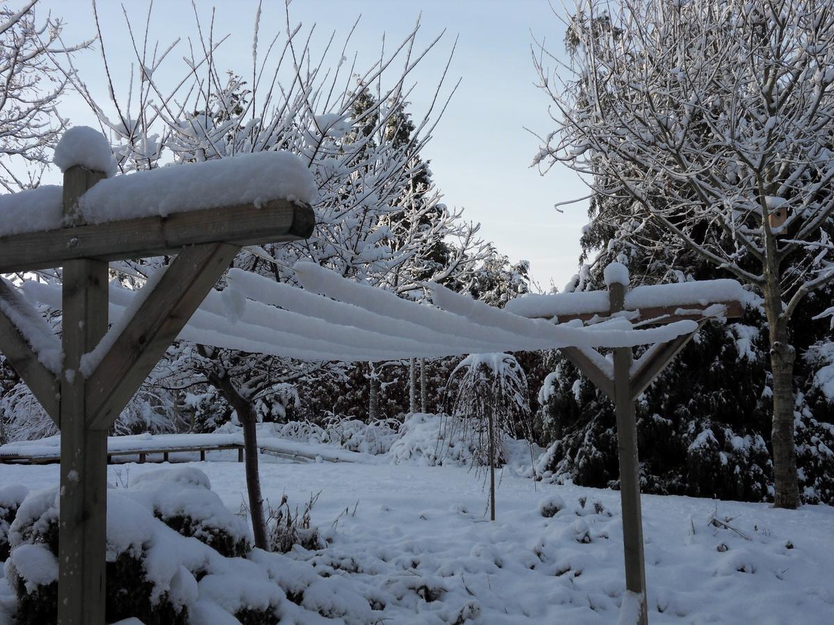 Bed And Breakfast Birkerød Dış mekan fotoğraf